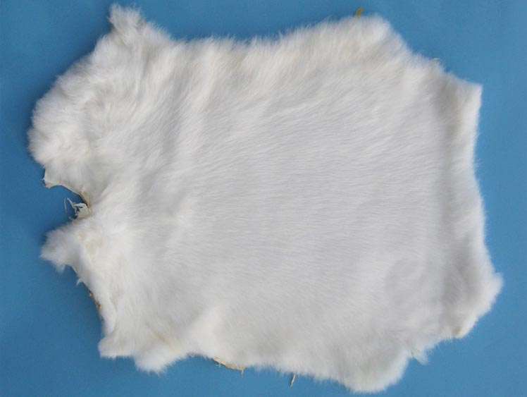 Spanish Garment Rabbit Skin: White 